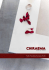 Brochure aziendale 2013 scarica il file