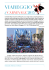 CARTELLA STAMPA Carnevale di Viareggio 2015