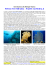 13-Cnidaria - Parte Generale - Associazione culturale Scoiattolo