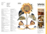 scarica la newsletter in formato