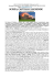 E-Mail :crddfi@gmail.com SCOZIA, CASTELLI E LEGGENDE DAL