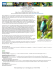 printable PDF format