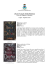 I Nuovi Acquisti della Biblioteca