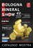 Catalogo 2012 - Bologna Mineral Show
