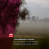 louis andriessen: la passione - Boston Modern Orchestra Project