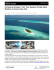 pdf - Hotel News
