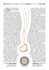 Lettera Keys for a cause 2010.indd