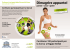 volantino - WordPress.com