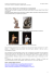 1 Extra activity – Baroque art vs Contemporary art (comparison