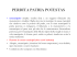 PROCESSO PER FORMULAS (FORMULARE)