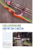 collezionare archi da caccia