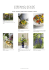 Food / Cooking with flowers at Hotel La Perla