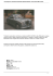 Auto d`epoca e consulenza automobili classiche Brescia. Lancia