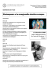 Shakespeare e le avanguardie storiche europee