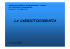 la cardiotocografia - Ospedale Evangelico Internazionale Genova