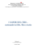 PDF: CIBO - Comune di Campi Bisenzio