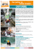 brochure PDF