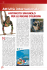Attività internazionale - Federazione Ginnastica d`Italia
