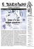Scarica il file pdf - il Tazebao