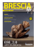 scarica la rivista