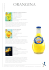 ORANGINA - OnestiGroup