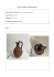 oinochoe2572 - Museo Archeologico Cividale