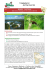 Viaggiare lentamente