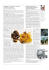 da pag. 17 a pag. 24