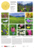 Mehr Blumenwiesen für die Schweiz Plus de prairies fleuries en