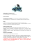 REGOLAMENTO “DTMLigaIT_2013” www.dtm