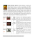 Rodenbach - Andrea Biancalani On-line