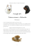 leggi i consigli per il nuovo cucciolo