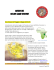 vedi il programma del safari