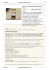 Bacche di Schisandra (Wu-Wei-Zi) , 100 g 7 Recensioni 8,90