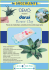 Flower Clay - hobbyduck.eu