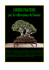 Schede coltivazione bonsai