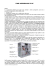 Visualizza - Ebookteca