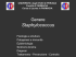 Staphylococcus - WordPress.com