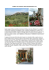 An eno-gastronomic walking holiday