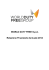 WDF SpA Relazione Finanziaria Annuale 2014