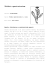 1890 Trifolium rubens L