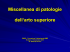 Miscellanea di patologie dell`arto superiore