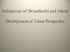 Linear Perspective PDF
