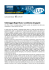 Comunicato Stampa - Vallemaggia Magic Blues