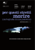Pressbook - Rete degli Spettatori
