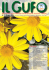 Il Gufo Notiziario CPGEV n.2 - Giugno 2016