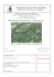 C:\Documents and Settings\Utente\Desktop\PROGETTO