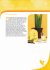 Le 4 bevande di Aloe Vera della Forever, tisana, bevanda