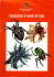 Scarica il numero in pdf - Biblioteca digitale