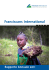 Franciscans International Rapporto Annuale 2011